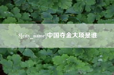 郑州中国夺金大项是谁
