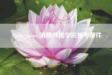 郑州消防救援学院报考条件