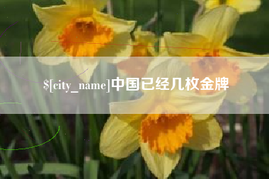 郑州中国已经几枚金牌