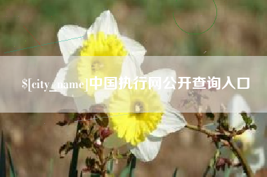 郑州中国执行网公开查询入口