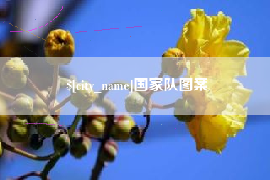 郑州国家队图案