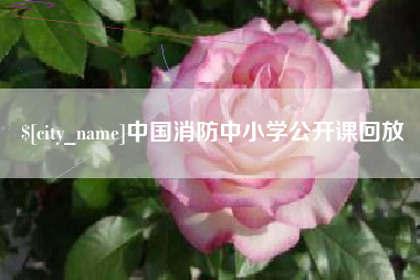 郑州中国消防中小学公开课回放