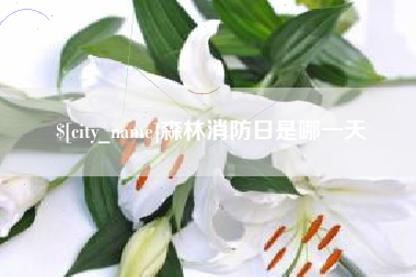 郑州森林消防日是哪一天
