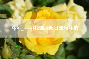 郑州我国消防日是每年的