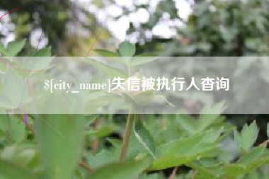 郑州失信被执行人杳询