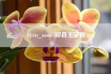 郑州邱县王子磊