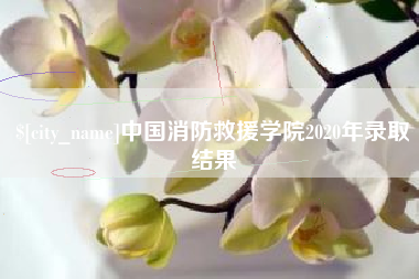 郑州中国消防救援学院2020年录取结果