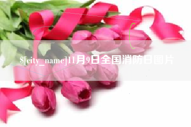 郑州11月9日全国消防日图片