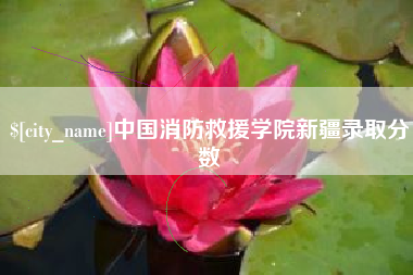郑州中国消防救援学院新疆录取分数