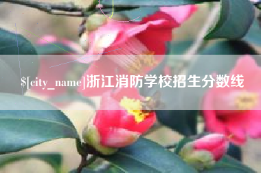 郑州浙江消防学校招生分数线
