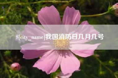 郑州我国消防日几月几号