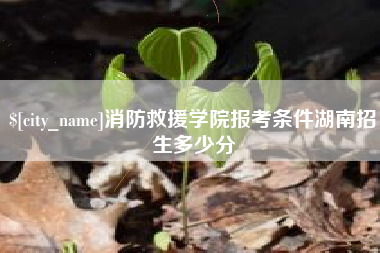 郑州消防救援学院报考条件湖南招生多少分