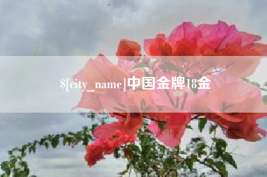 郑州中国金牌18金