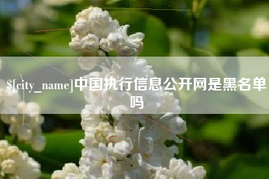 郑州中国执行信息公开网是黑名单吗