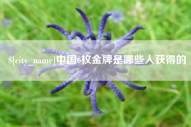 郑州中国6枚金牌是哪些人获得的