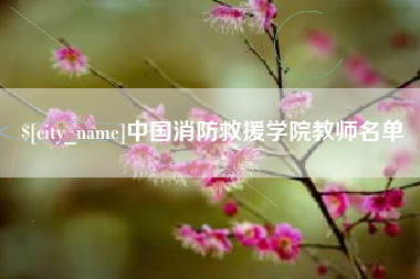 郑州中国消防救援学院教师名单