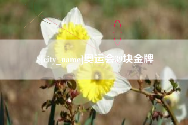 郑州奥运会39块金牌