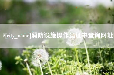郑州消防设施操作员证书查询网址