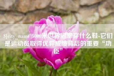 郑州5000米世界冠军穿什么鞋-它们是运动员取得优异成绩背后的重要“功臣”