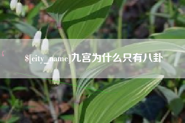 郑州九宫为什么只有八卦