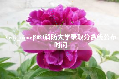 郑州2024消防大学录取分数线公布时间