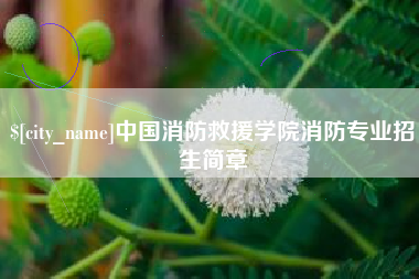 郑州中国消防救援学院消防专业招生简章