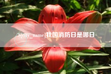 郑州我国消防日是哪日