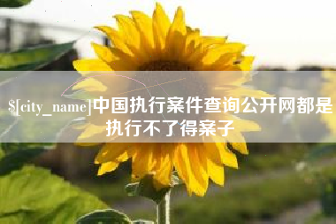 郑州中国执行案件查询公开网都是执行不了得案子