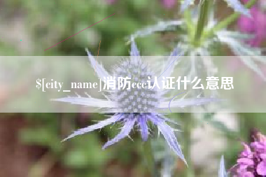 郑州消防ccc认证什么意思