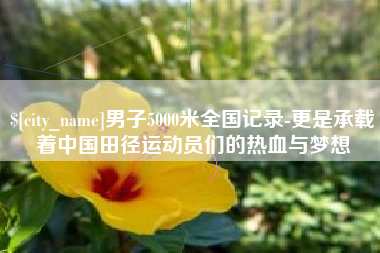 郑州男子5000米全国记录-更是承载着中国田径运动员们的热血与梦想