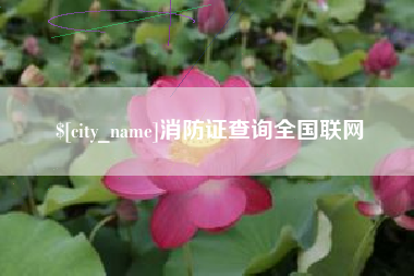 郑州消防证查询全国联网