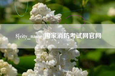 郑州国家消防考试网官网