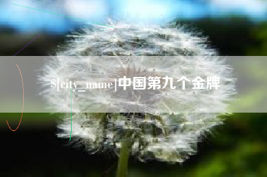 郑州中国第九个金牌