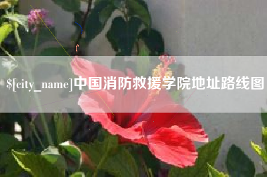 郑州中国消防救援学院地址路线图