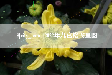 郑州2022年九宫格飞星图