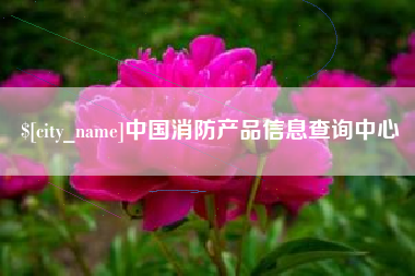 郑州中国消防产品信息查询中心