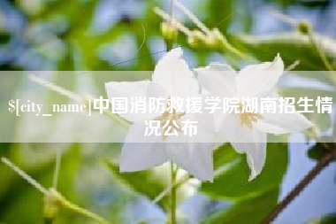 郑州中国消防救援学院湖南招生情况公布
