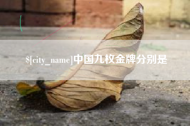 郑州中国九枚金牌分别是