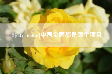 郑州中国金牌都是哪个项目
