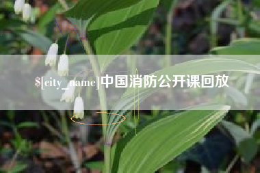 郑州中国消防公开课回放