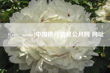 郑州中国执行信息公开网 网址