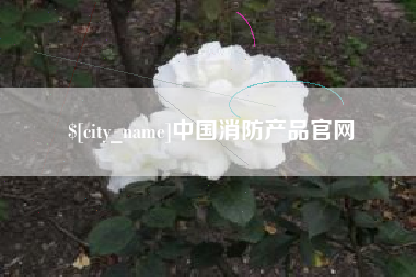 郑州中国消防产品官网