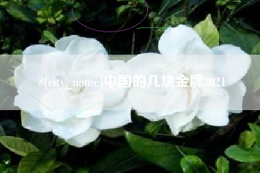 郑州中国的几块金牌2021