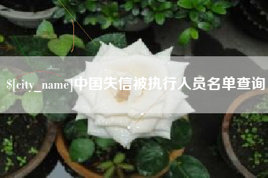 郑州中国失信被执行人员名单查询
