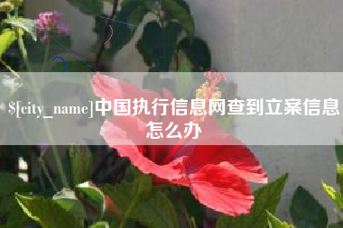 郑州中国执行信息网查到立案信息怎么办