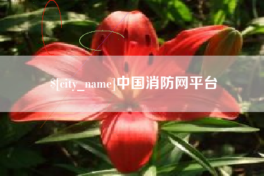 郑州中国消防网平台