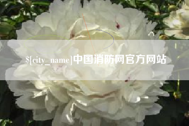 郑州中国消防网官方网站