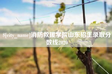 郑州消防救援学院山东招生录取分数线2020