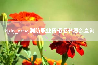 郑州消防职业资格证书怎么查询