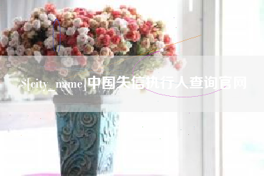 郑州中国失信执行人查询官网